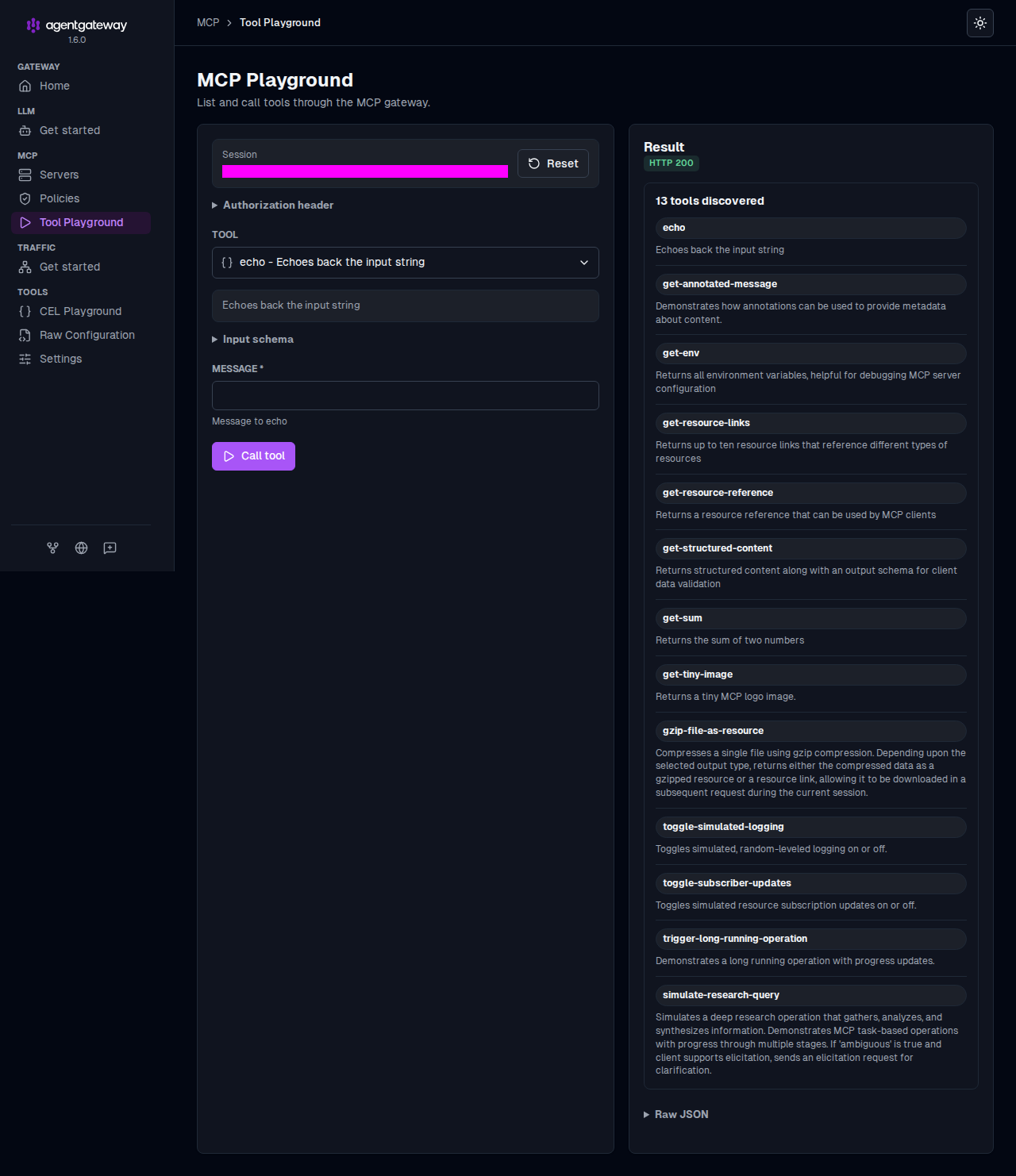 MCP Playground with the echo tool selected and a list of 13 discovered tools in the Result panel